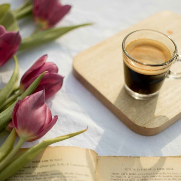 art-nature-coffee-book