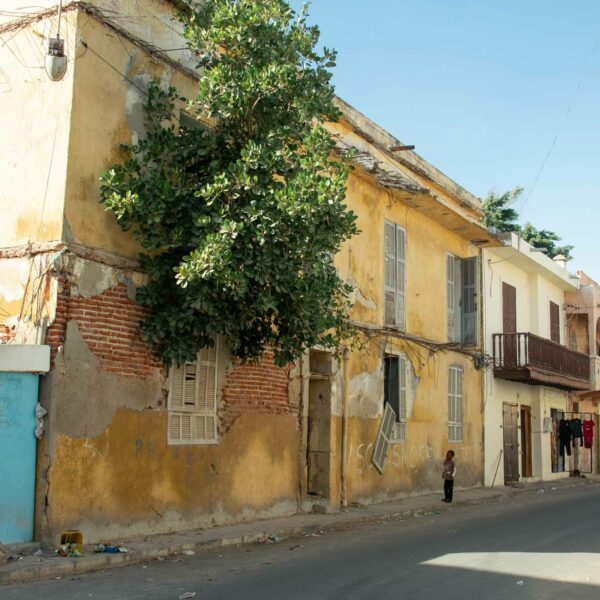 senegal-house-nature