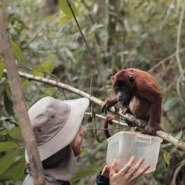 Reportage Terrain - Feeding Monkey - La Cruz Verde