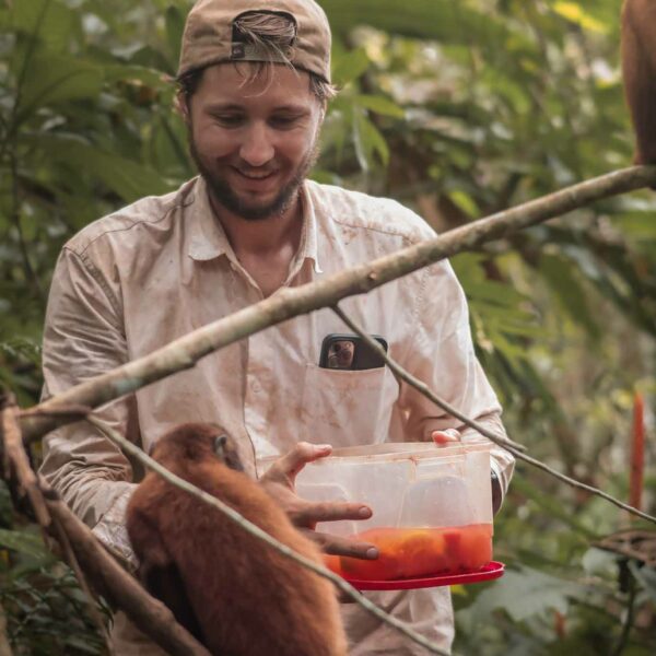 voluntary-work-animals