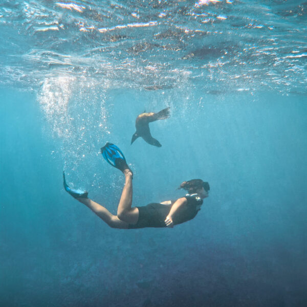 Naïs Cacciuttolo Ocean