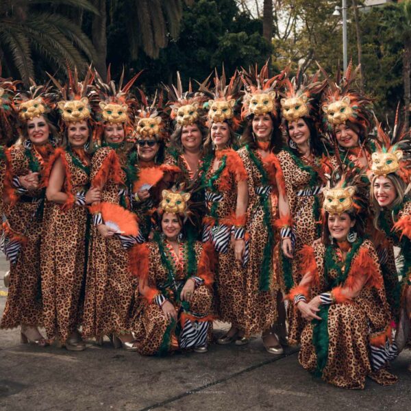 Lionesses - Carnaval Costume